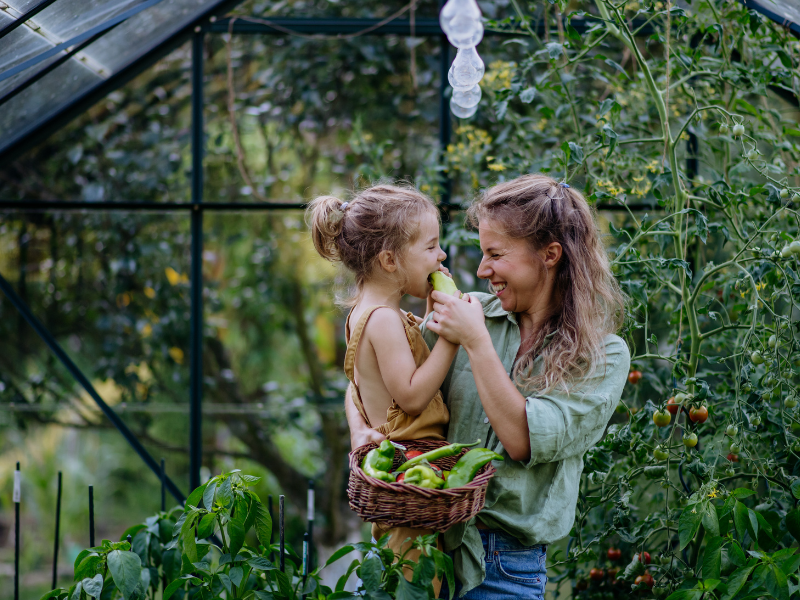 Year-Round Greenhouse Growing: A Season-by-Season Guide
