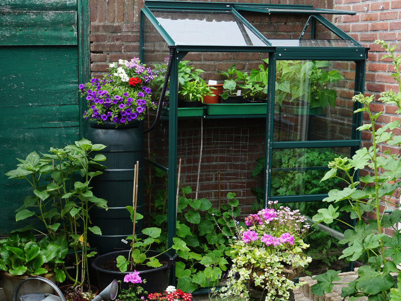 Supplies & Accessories