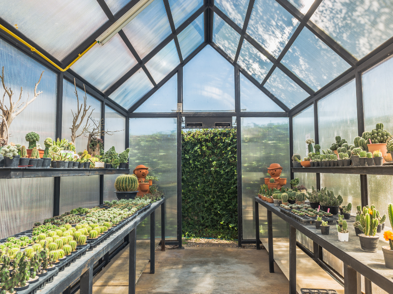 Polycarbonate Greenhouses