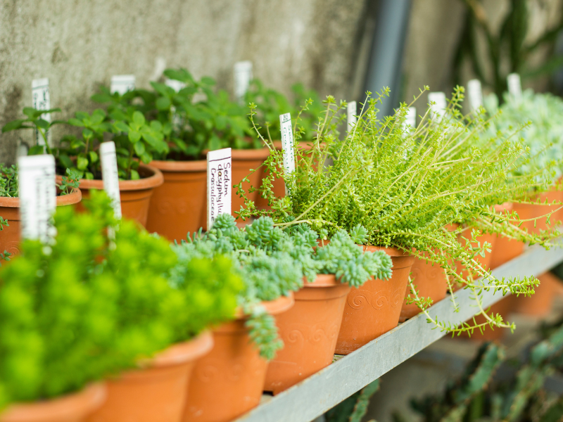 Cooling & Ventilation