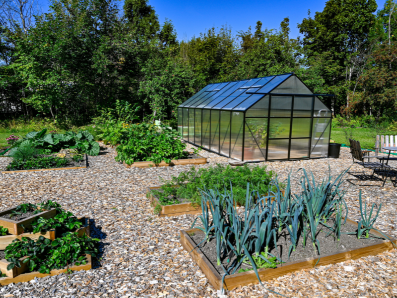 Medium Greenhouses