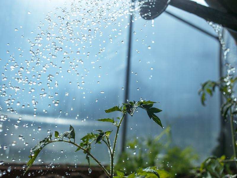 Watering & Irrigation